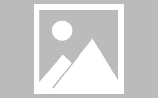 辽阳绥化网站搭建公司有哪些（信息网绥化）